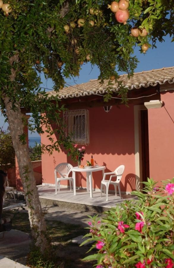 Amalia Cottages Agios Gordios  Luaran gambar